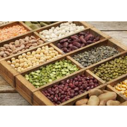 The Dry Bean Variety Pack Seed Collections
