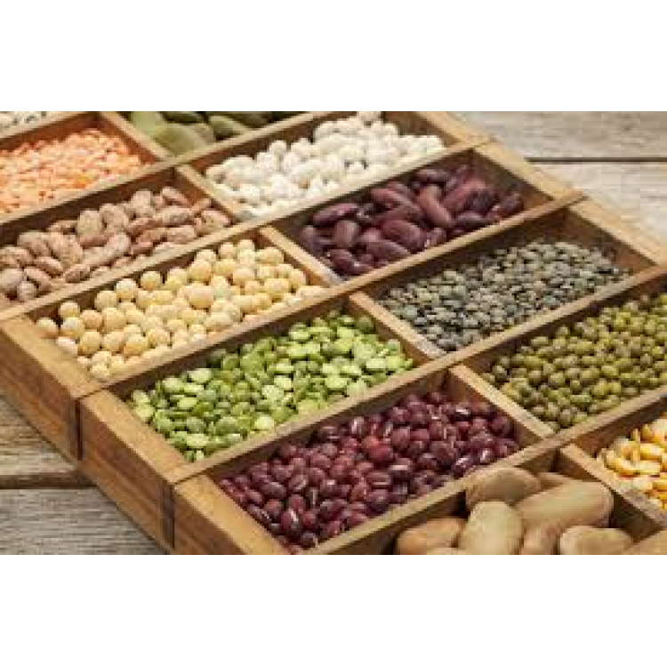 The Dry Bean Variety Pack - Petite