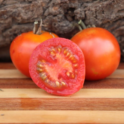 Ailsa Craig Tomato