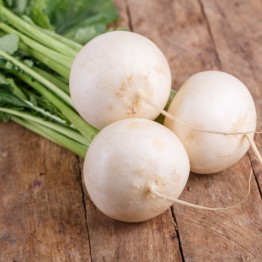 Albino White Beetroot