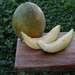 Ananas Melon