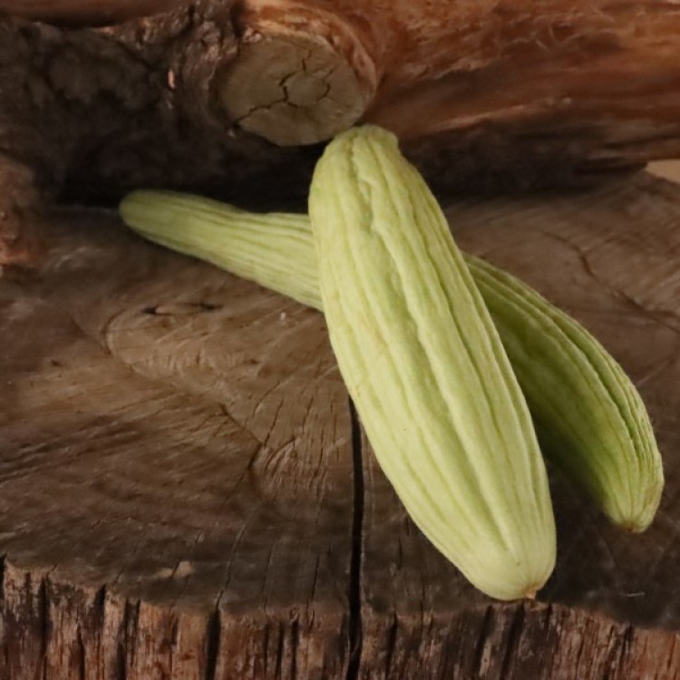 Armenian Yard Long Cucumber