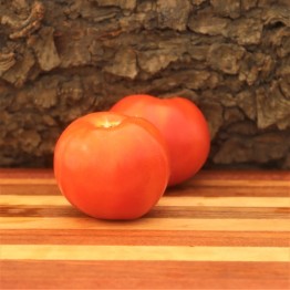 Bill's Oxheart Tomato