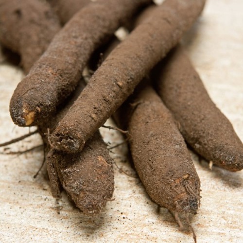 Scorzonera (Black Salsify)