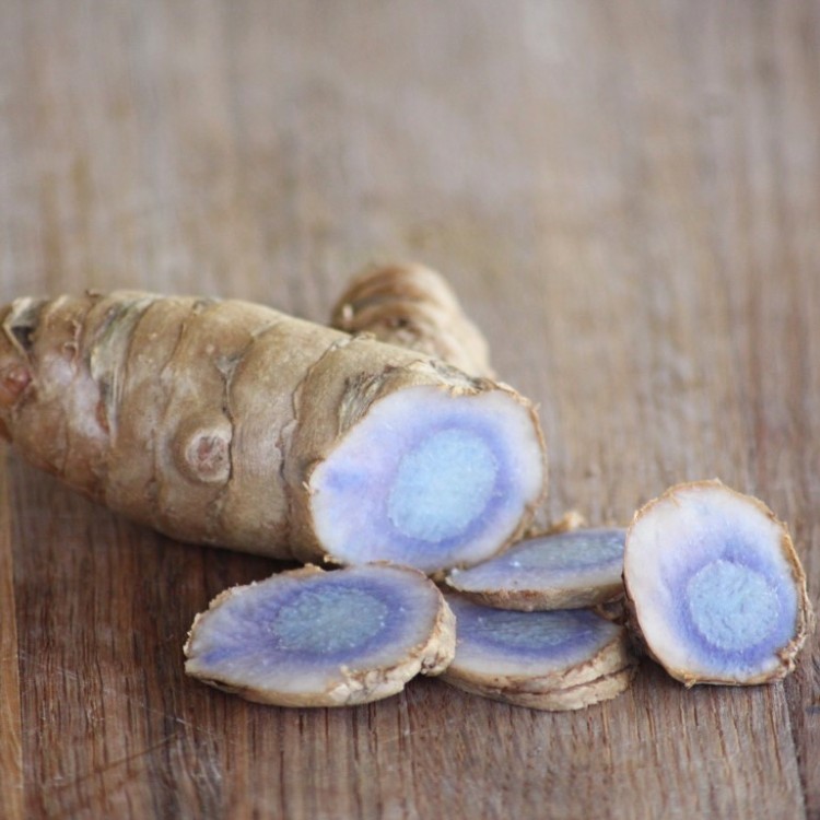 Black Turmeric Root