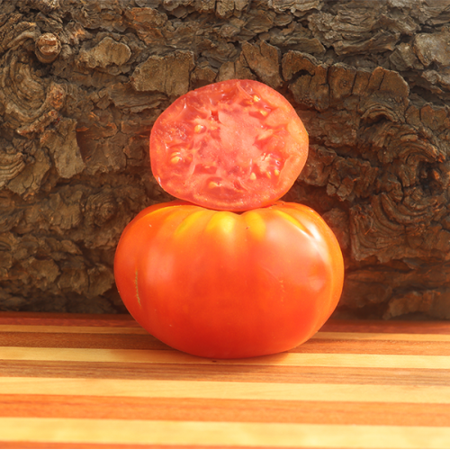 Brandywine Red  Tomatoes