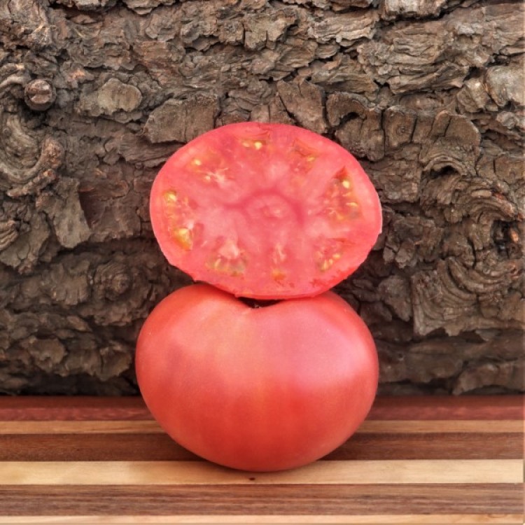 Brandywine Pink Tomato