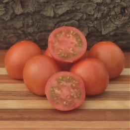 Burnley Bounty Tomato