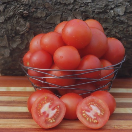Burwood Prize Tomato