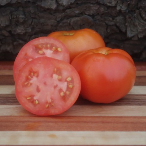 Campbell 33 Tomato