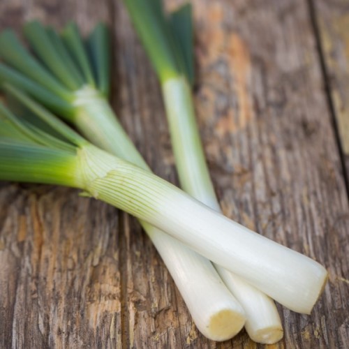 Carentan Leek