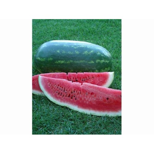 Congo Watermelon Vegetable Seeds