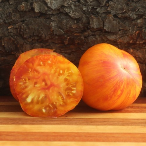 Copia Tomato