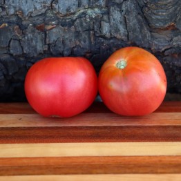 Cuore de Bue Tomato