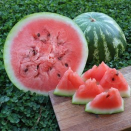Crimson Sweet Watermelon