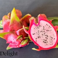 Delight - Dragon Fruit
