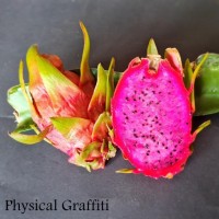 Physical Graffiti - Dragon Fruit
