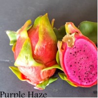 Purple Haze Dragon Fruit