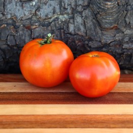 Double Rich Tomato