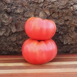 Estler's Mortgage Lifter Tomato
