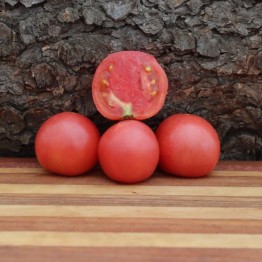 Eva Purple Ball Tomato