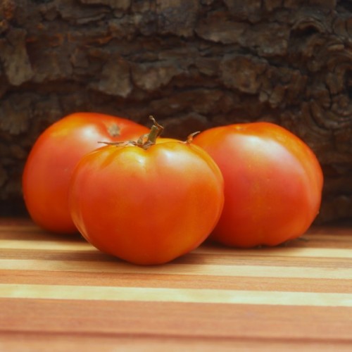 Fairbo Jumbo Red Tomato