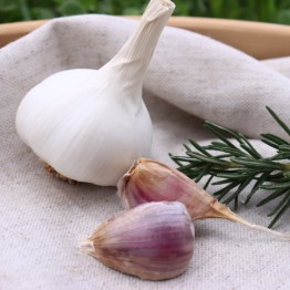 Heirloom Garlic Gaya's Joy