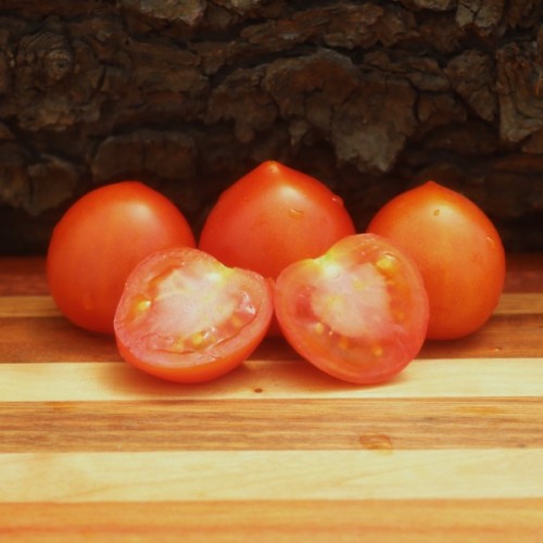 Geranium Kiss Tomato