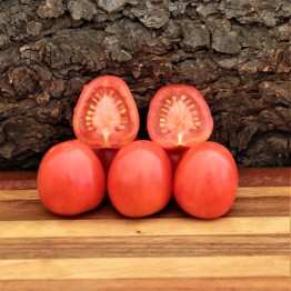 German Lunchbox Cherry Tomato