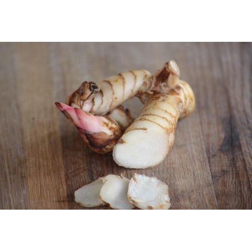 Greater Galangal Vegetable Seeds