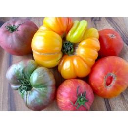 Giant Tomato Combo