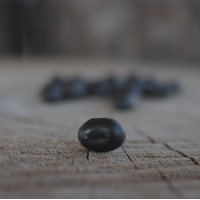 Hokaida Black Soy Beans