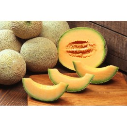 Honey Rock Melon Vegetable Seeds