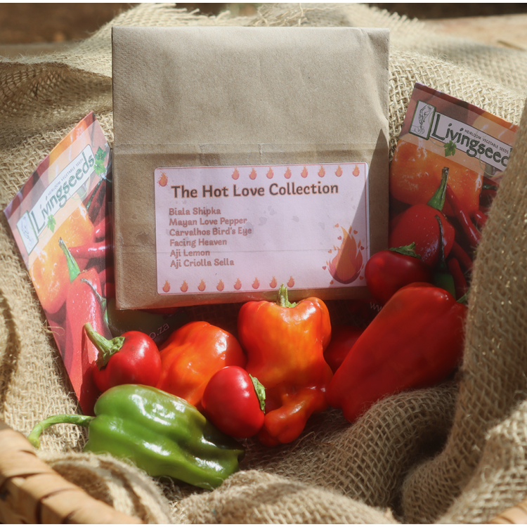 The Hot Love Collection Seed Collections