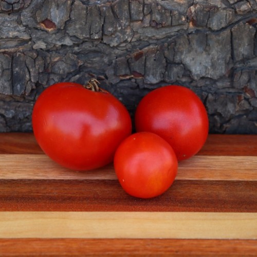 Iditarod Red Tomato