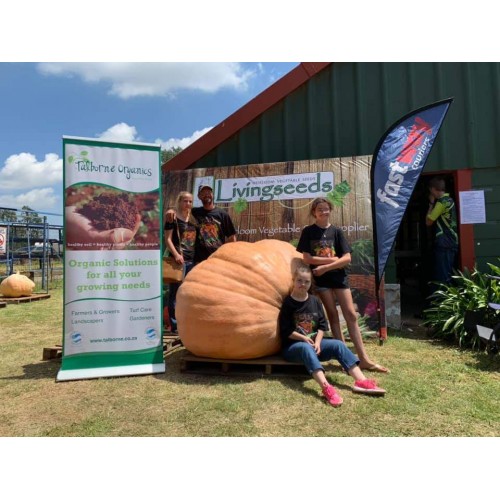Joubert 445.5Kg Giant Pumpkin Competition