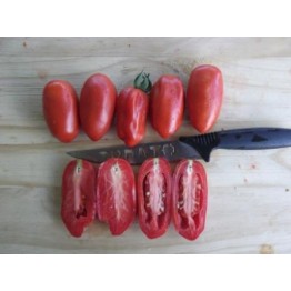 Kara Market Togo Tomato 