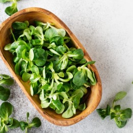 Corn Salad (Lamb's Lettuce)