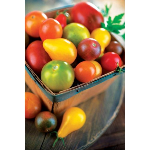 Cherry Tomato Blend Vegetable Seeds