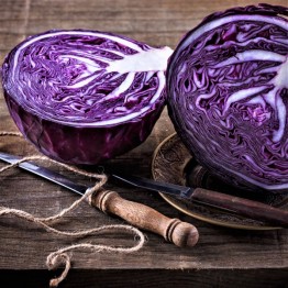 Mammoth Red Rock Cabbage