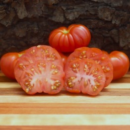 Maria Italian Tomato