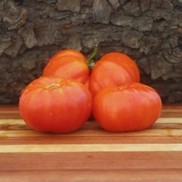 Marmande Tomato