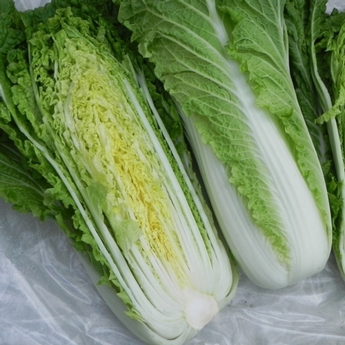 Michihili Chinese Cabbage Vegetable Seeds