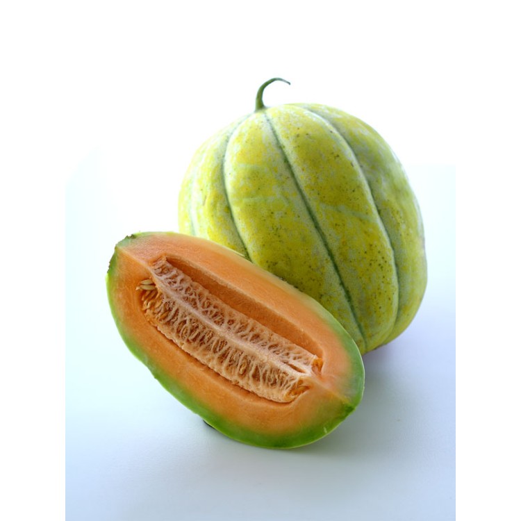 Navajo Yellow Melon