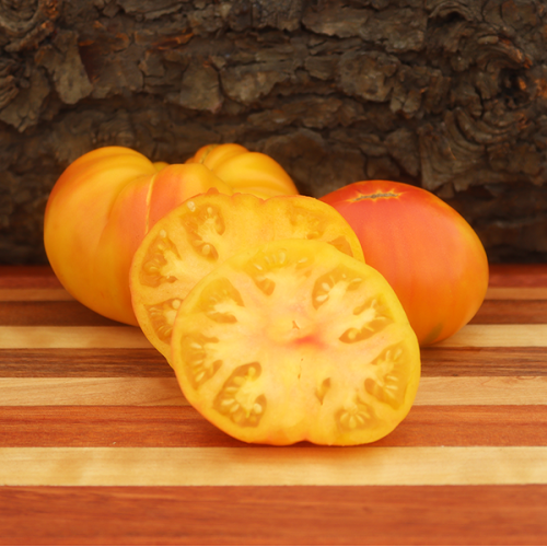 Oaxacan Jewel Tomato (Regular-Leaf)