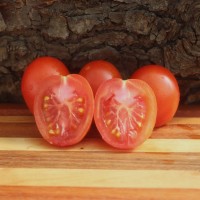 Ocerion Red Plum Tomato