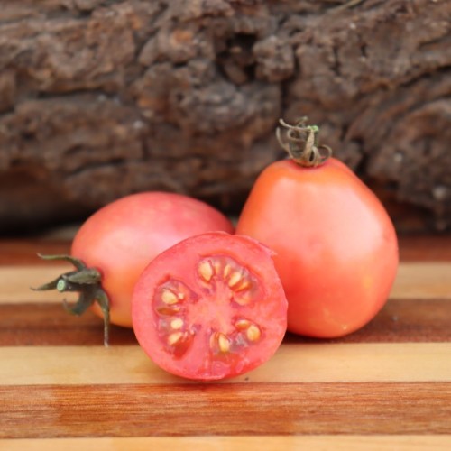 Oregon Sentinel Tomato