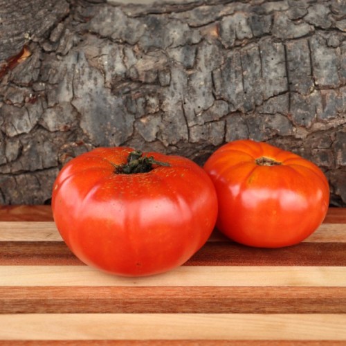 Pantano Tomato