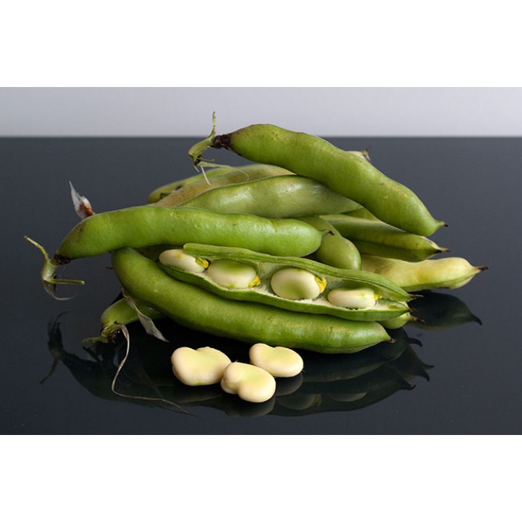 Peruvian Emerald Broad Beans July