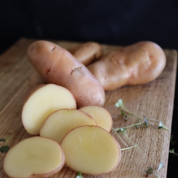 Heirloom Potatoes Pink Fir Fingerling